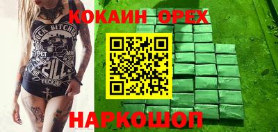 крисы Камышлов