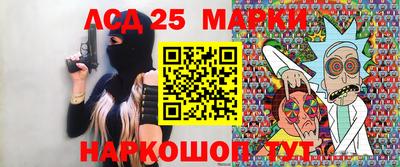 крисы Камышлов