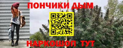 крисы Камышлов