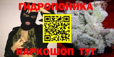 крисы Камышлов