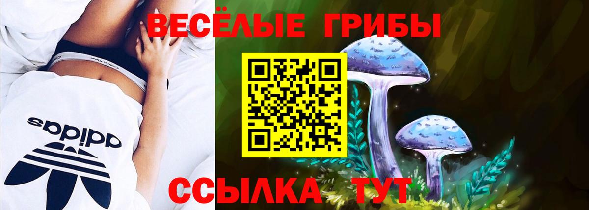 Ессентуки  Псилоцибиновые грибы Psilocybe  Вход с VPN 