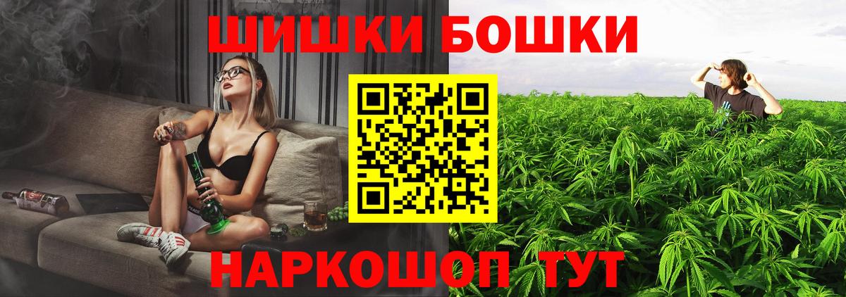Конопля гибрид Ессентуки